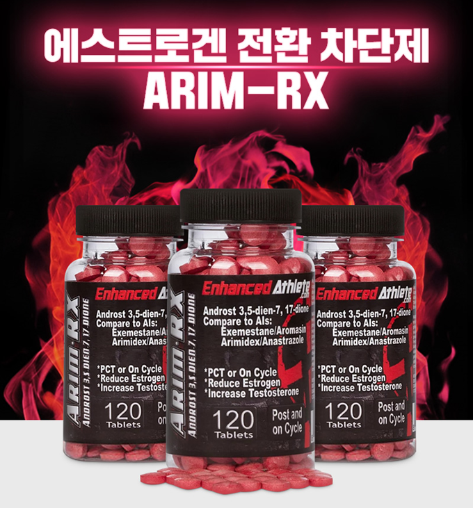 에스트로겐 전환 차단제 ARIM-RX