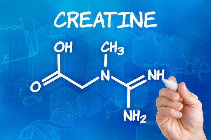 운동인 필수템 크레아틴- Creatine Monohydrate 순수원료 100%