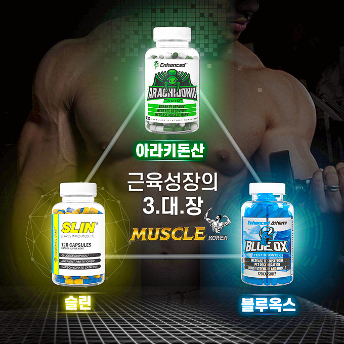 근육 성장 3대장 - 아라키돈산 + 블루옥스 + 슬린