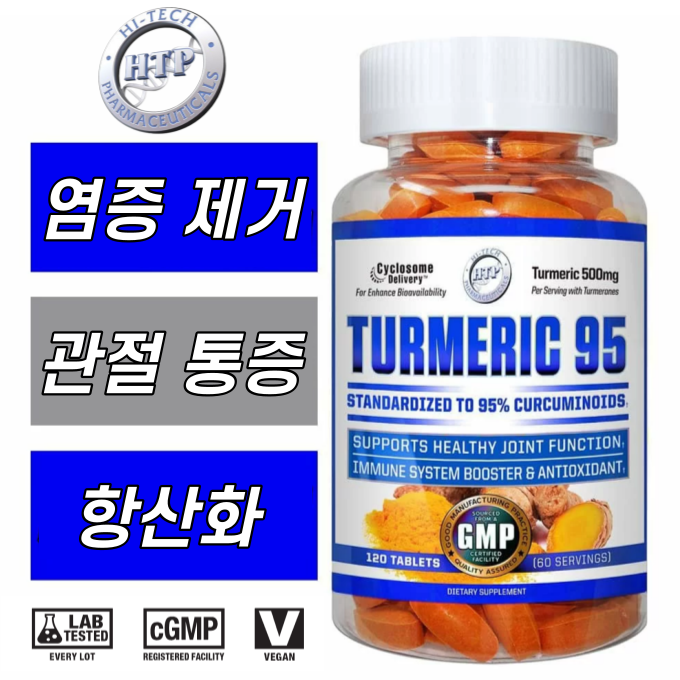 강력한 염증 완화제 TURMERIC 95